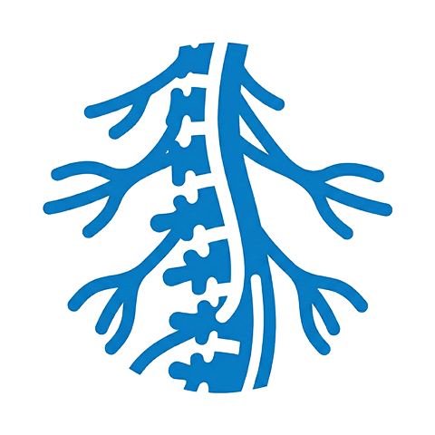 Neurocirugía de columna